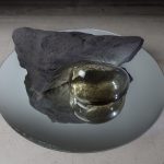 Coïncidence des opposés